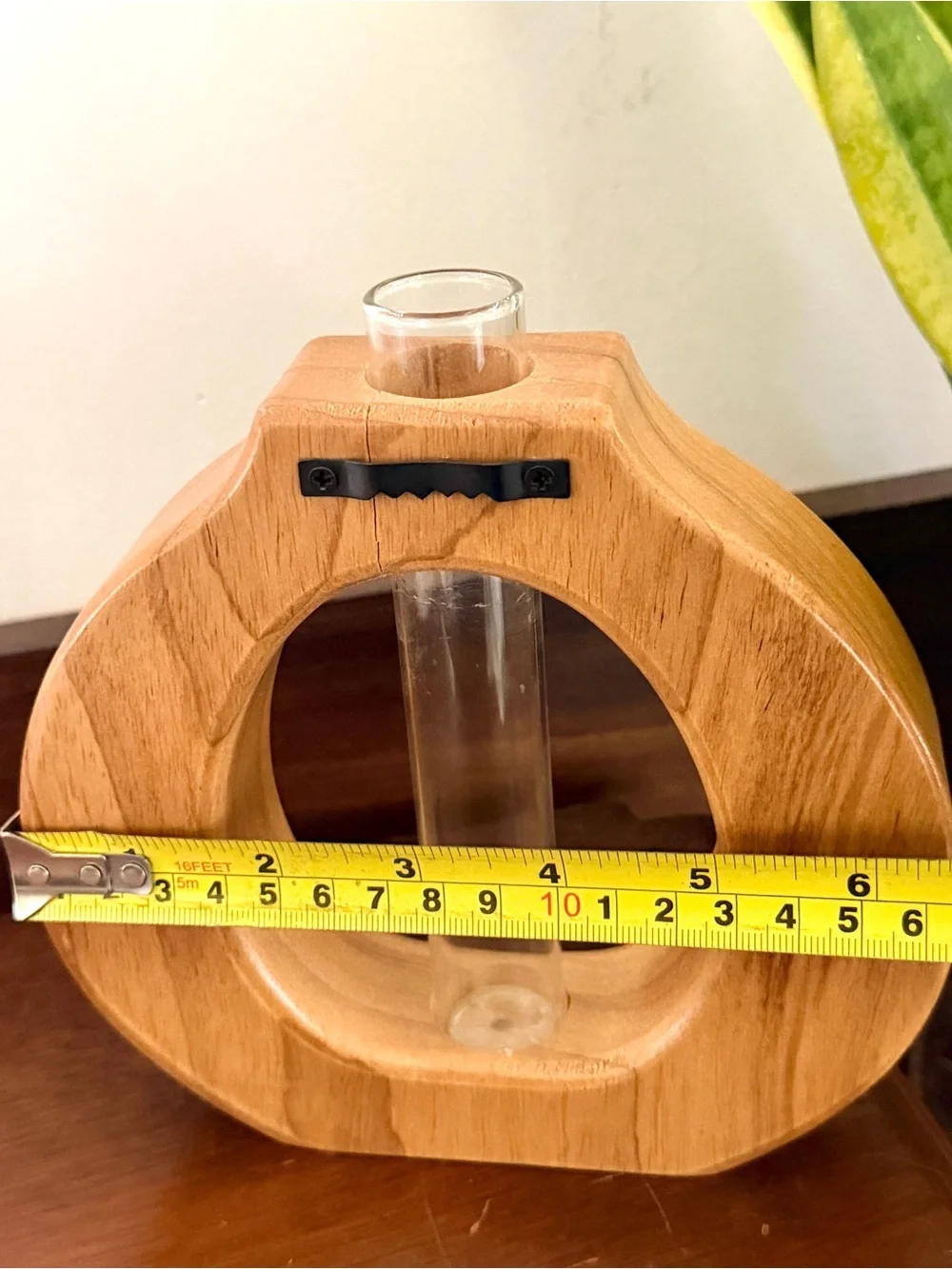 Test Tube Propagation Wood Carved Circle Vase Wall Hanging Shelf Sitting Boho